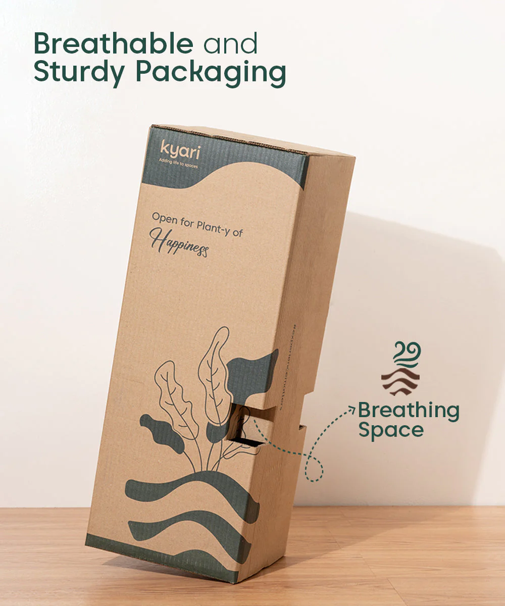 Thumbnail 23