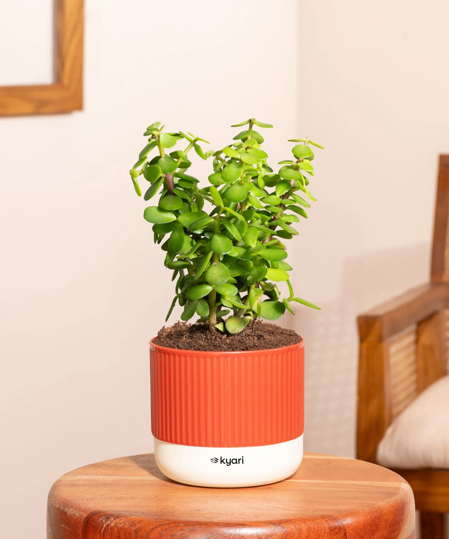 Thumbnail 70